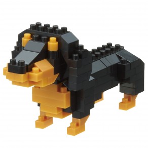 Dachshund - Dog Breed