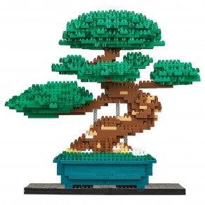 Bonsai Matsu - Advanced Hobby Series