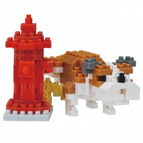 Marking dog - Animals in Action