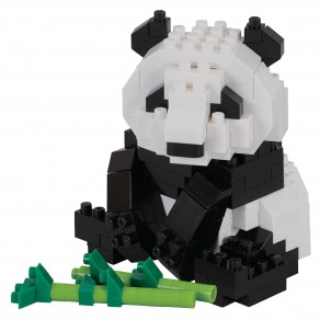 Giant Panda
