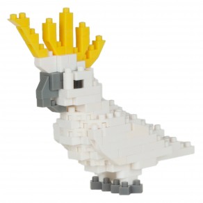 Sulphur Crested Cockatoo