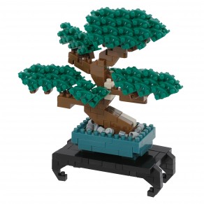 Pin Bonsai