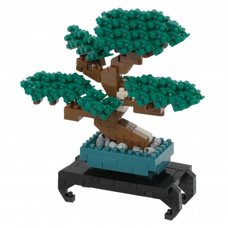 Bonsai Pine