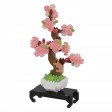 Bonsai Sakura