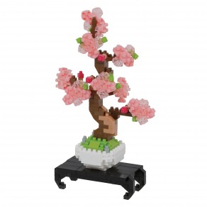 Bonsai Sakura