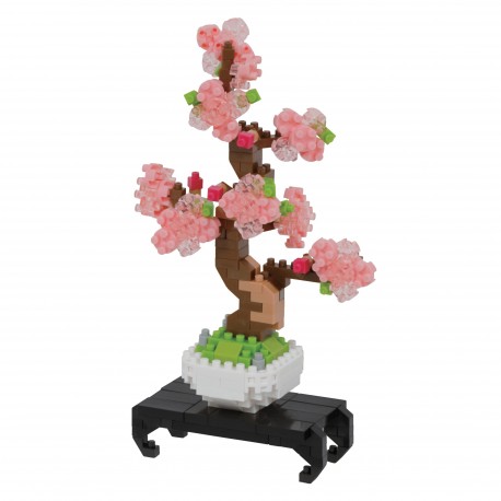 Bonsai Sakura