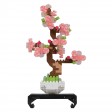 Bonsai Sakura