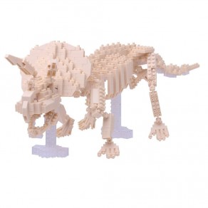 Squelette Triceratops